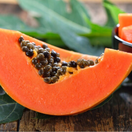 Papaya enzyme papain for digestive support