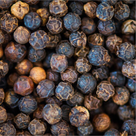 Black pepper extract supporting nutrient absorption